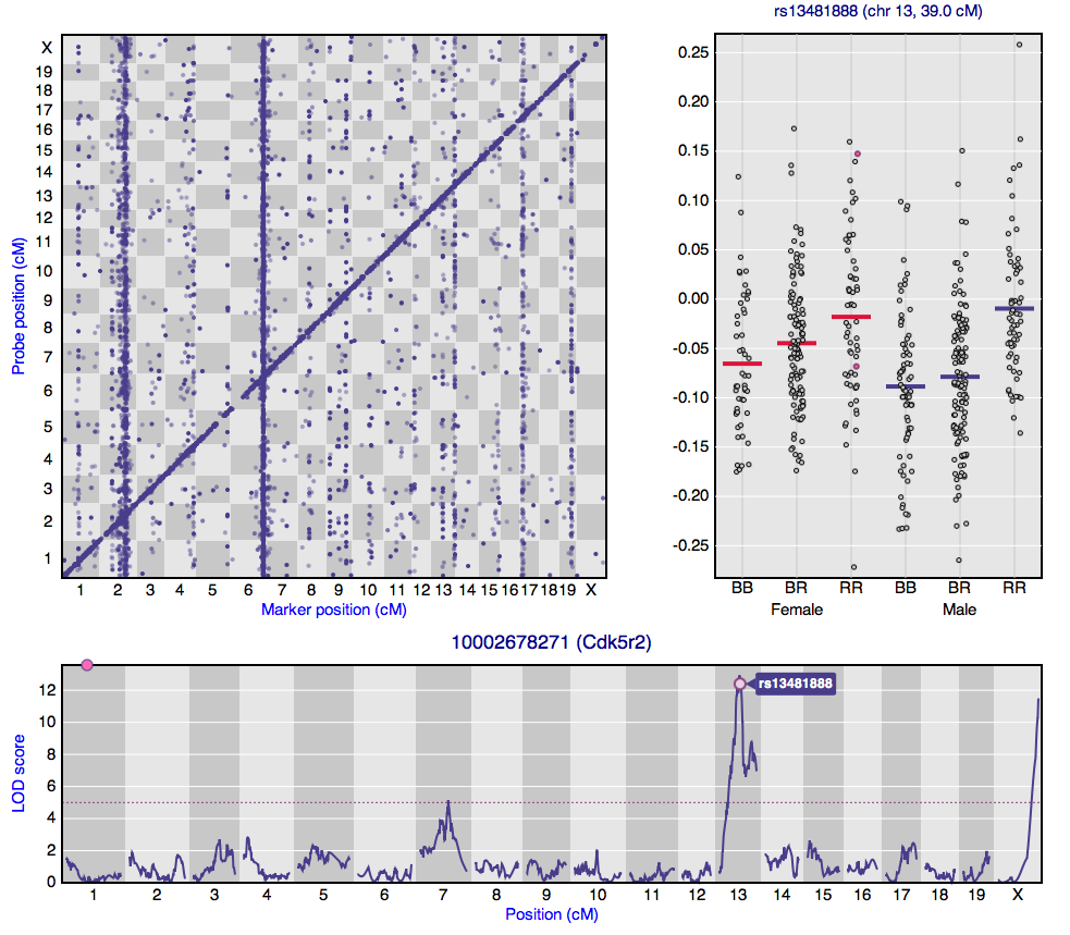 Static view of interactive eQTL plot