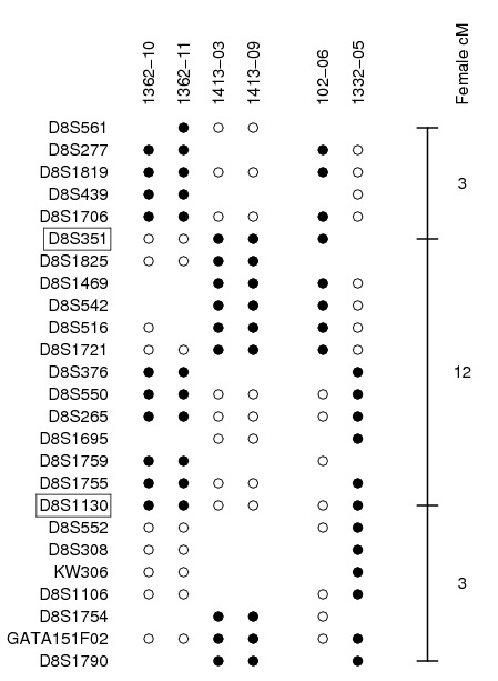 Genotypes at inversion